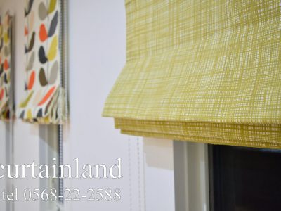 オーラ・カイリー無地調線画デザイン