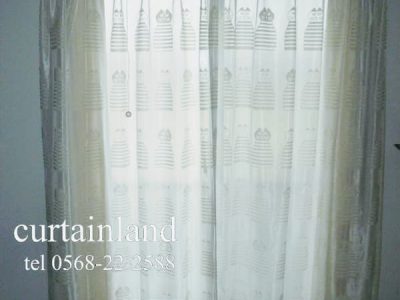 リサラーソンマイキーレース全体