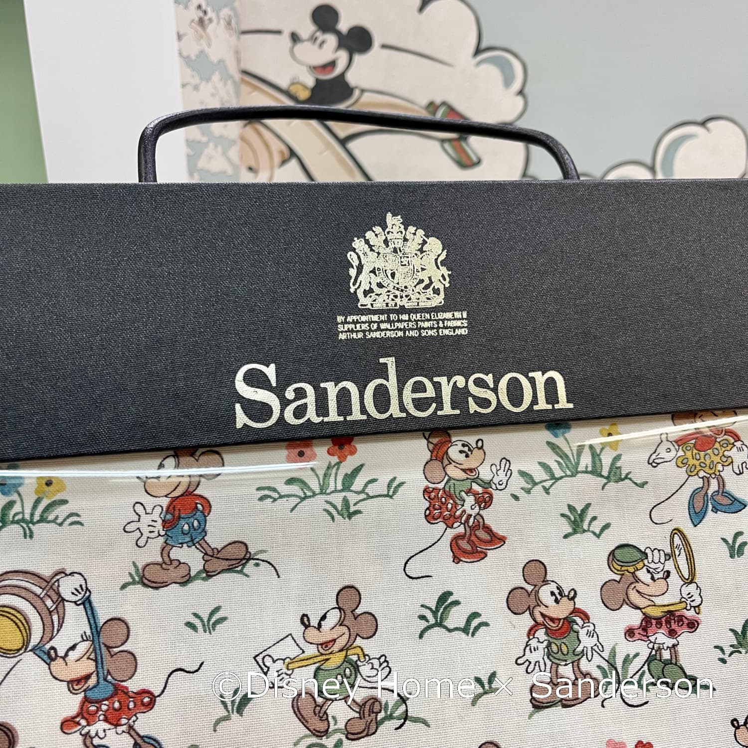 Disney Home × Sanderson
